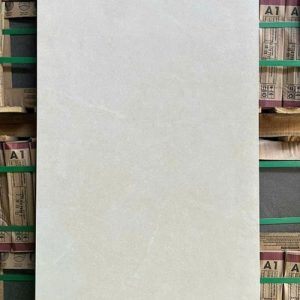 Gạch ốp lát Á Mỹ 60x120 Mờ CT1254