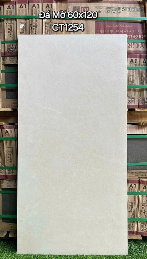 Gạch ốp lát Á Mỹ 60x120 Mờ CT1254
