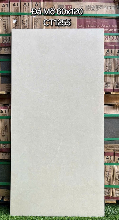 Gạch ốp lát Á Mỹ 60x120 Mờ CT1255