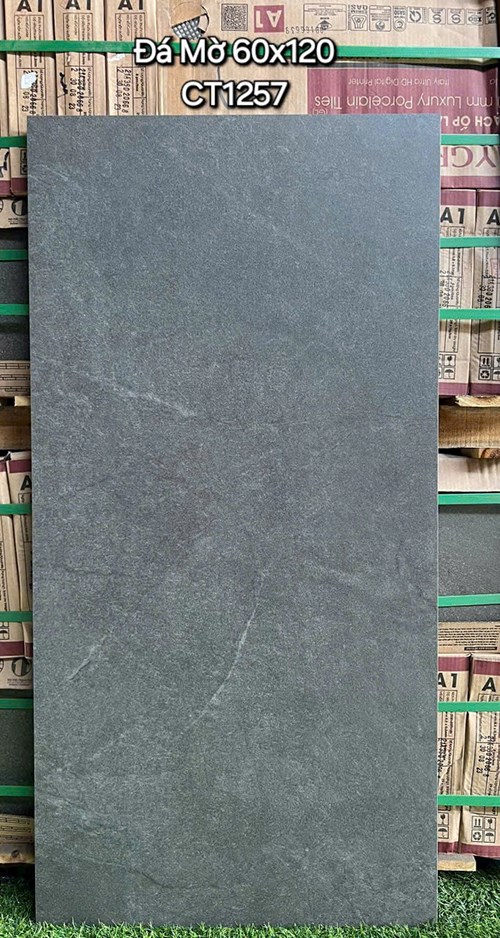 Gạch ốp lát Á Mỹ 60x120 Mờ CT1257