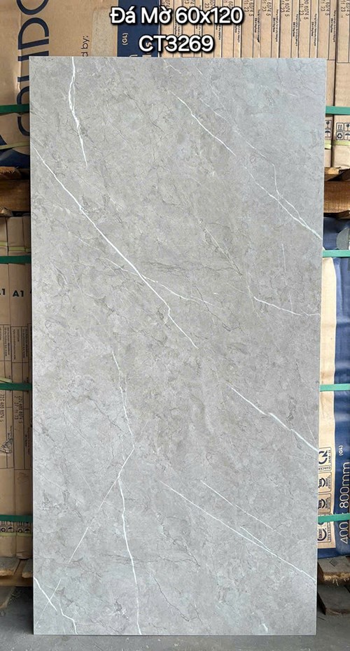 Gạch ốp lát Á Mỹ 60x120 Mờ CT3269