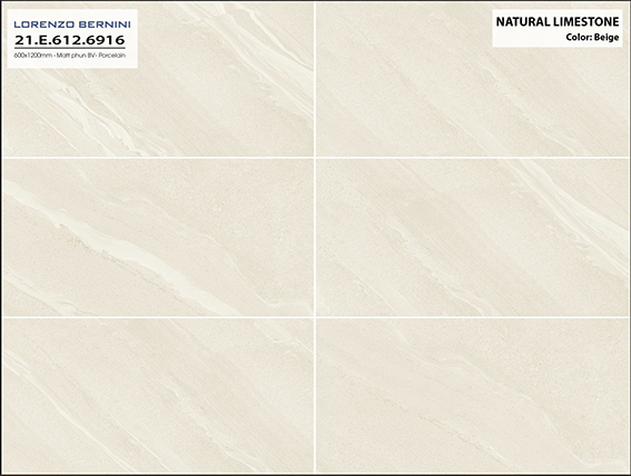 Gạch ốp lát Á Mỹ 60x120 Mờ CT6916 - Ảnh 2