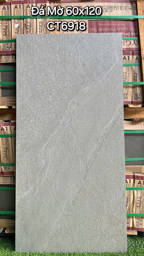 Gạch ốp lát Á Mỹ 60x120 Mờ CT6918