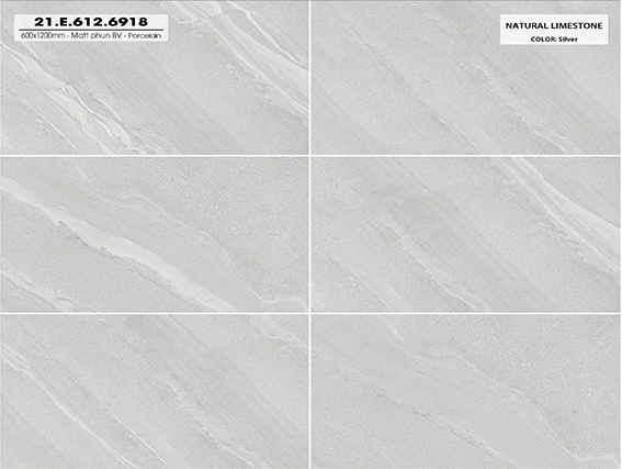 Gạch ốp lát Á Mỹ 60x120 Mờ CT6918 - Ảnh 2