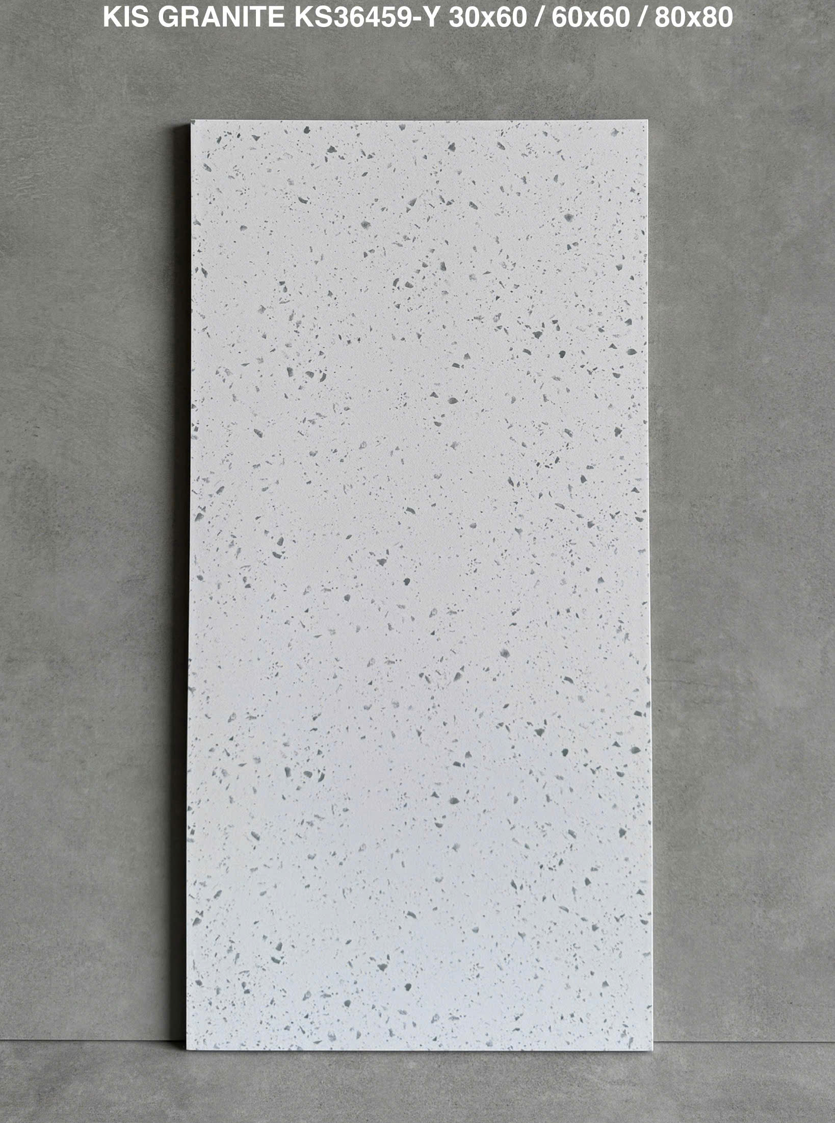 Gạch Terrazzo KIS KS36459 30x60 Bề Mặt Mờ