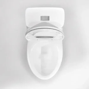 Alternative view of Bồn Cầu 1 Khối Viglacera BL5 Trắng Thân Dài