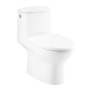 Bồn Cầu 1 Khối COTTO C105327 Dòng Micc Trắng Thân Dài