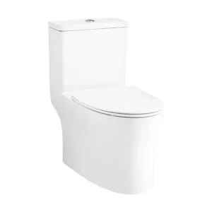 Bồn Cầu 1 Khối COTTO C105607 Dòng Vista Trắng Thân Dài