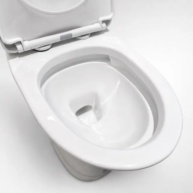 Bồn Cầu 1 Khối Caesar C1391 Trắng Thân Dài - Ảnh 2
