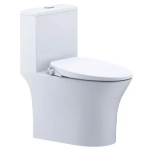 Bồn Cầu 1 Khối Caesar C1391F (Không Nắp) + Nắp Rửa Cơ TAF060 Trắng