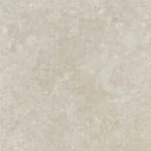 Gạch Taicera G12P32JM 60x120 Xám Vân Đá Granite Mờ