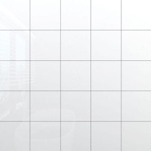 Gạch Đồng Tâm TL01  20x20 Trắng Đơn Sắc Bóng