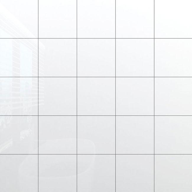 Gạch Đồng Tâm TL01 20x20 Trắng Đơn Sắc Bóng