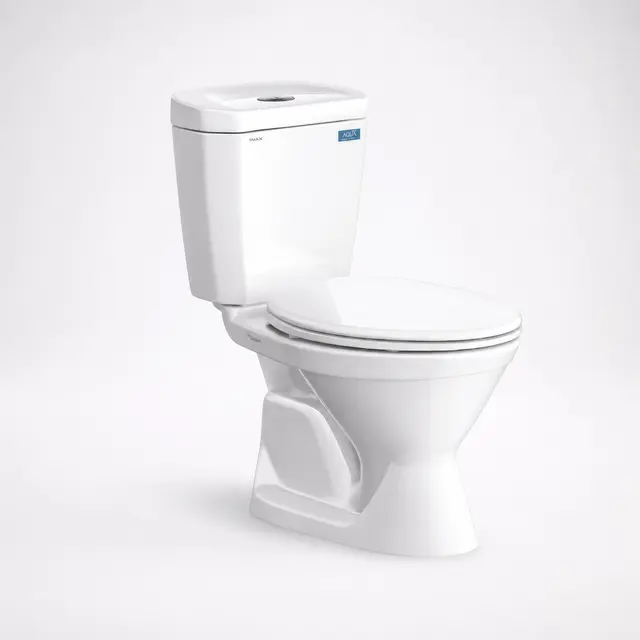 Bồn Cầu 2 Khối Viglacera VI66 Trắng Thân Dài