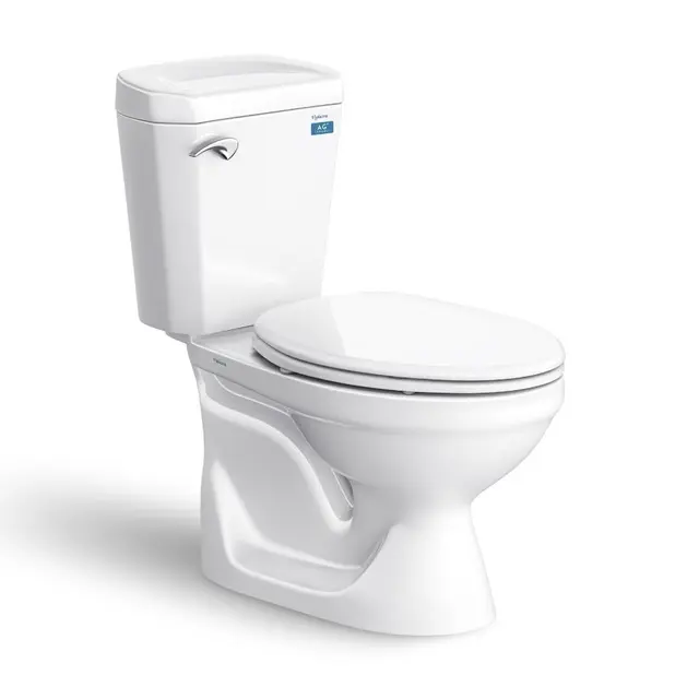 Bồn Cầu 2 Khối Viglacera VI77 Trắng Thân Dài